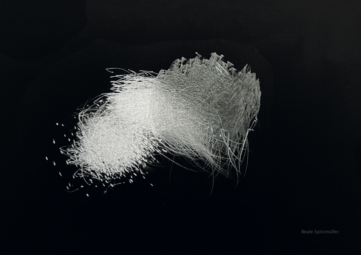 Spitzmueller Black with Line in  Motion No48 2025 24x31cm